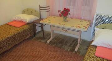 Фото номера Бюджетный двухместный номер с 1 кроватью или 2 отдельными кроватями Гостевой дом СимСим г. Заозёрное 7
