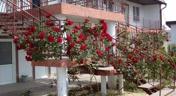 Фото номера Двухместный номер с 2 отдельными кроватями Гостиница Guest House Ada-Hajal г. Заозёрное 4